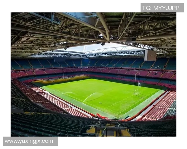 足球球星的传奇称号与辉煌历程揭秘 谁是绿茵场上的真正王者